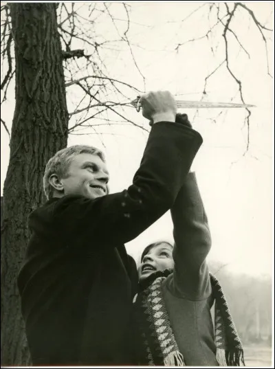 Quelle actrice accompagne Hardy Krüger dans le film "Les Dimanches de Ville-d'Avray" ?