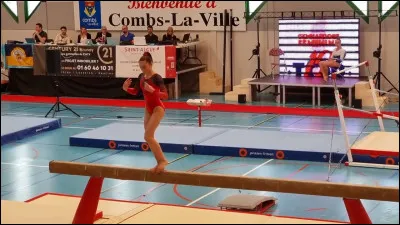 Dans quel département la commune de Combs-la-Ville est-elle située ?