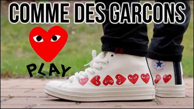 Qui chante "Comme un garçon" ?