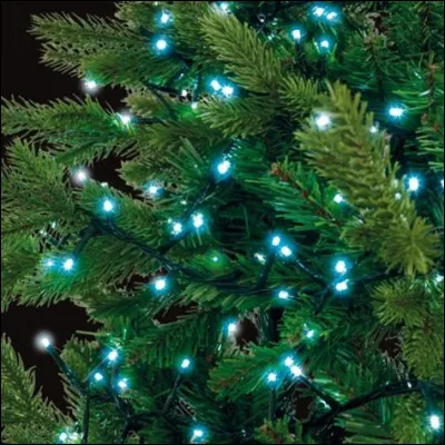 Si tu veux brancher une guirlande clignotante sur une prise, tu utilises...