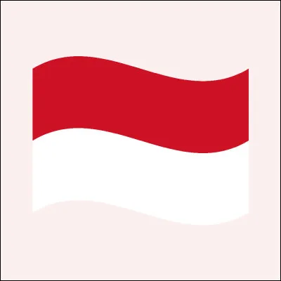 À quel pays correspond ce drapeau ?