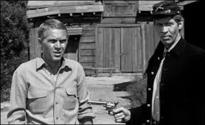 Lequel de ces acteurs célèbres a fait son apparition dans la série au moins une fois ?