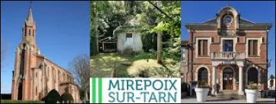 Commune de l'aire d'attraction Toulousaine, Mirepoix-sur-Tarn se situe dans le département ...