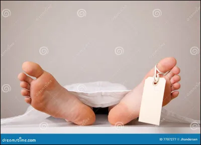 Quand tu l'ouvres, tu découvres ton cadeau ! Trop bien !
Un corps découpé avec un téléphone cassé ! Peut-être la fille du téléphone ?