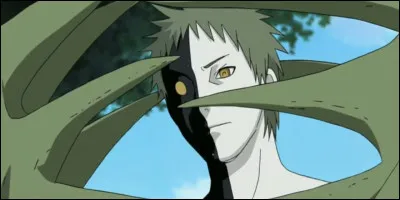 D'où vient Zetsu ?