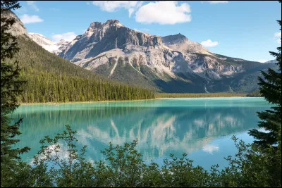 Que montre cette image ?