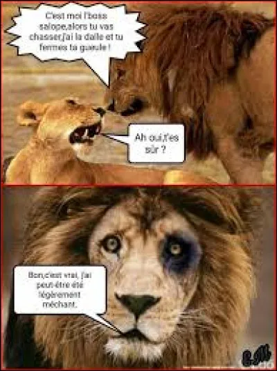 À quel artiste doit-on la chanson ''Le lion '', en 1977 ?