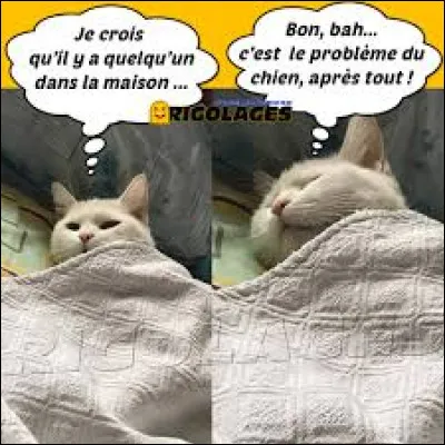 En 1994, quel chanteur nous a interprété la chanson ''Le petit chat est mort'' ?