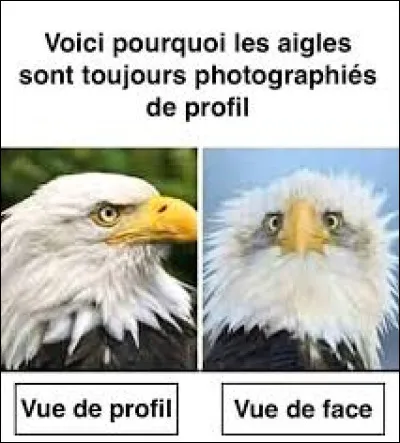 En 1970, quelle artiste a fait chanter la France avec son titre ''L'Aigle noir'' ?