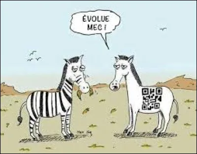 En 1993, quel artiste nous a interprété ''Le Zèbre'', bande originale du film homonyme de Jean Poiret avec Thierry Lhermitte ?