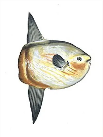 Peut être pleine à craquer, c'est la...