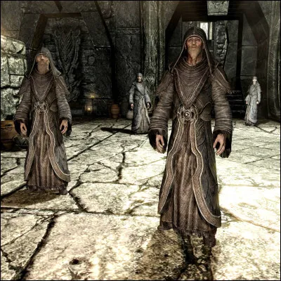 Dans quel c&eacute;l&egrave;bre jeu vid&eacute;o la "Greybeards" est-elle un groupe de sages vivant sur une montagne ?