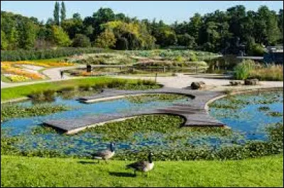 Quelle proposition correspond à un terme de botanique ?