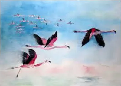 Un petit rébus pour terminer avec un mot original désignant un groupe de flamants roses dont le vol est éblouissant.
Quelle illustration convient-il d'éliminer ?