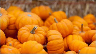À quelle fête les citrouilles sont-elles associées ?