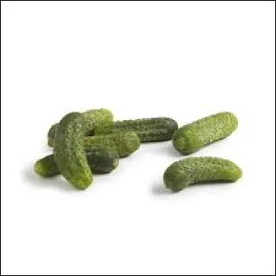 Le cornichon est un concombre récolté avant maturité.