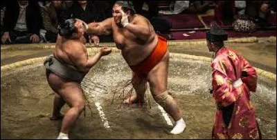 Associez le pays à son sport !