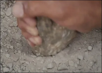 Les chroniqueurs de l'époque indiquent que, dans les villes mais aussi dans les campagnes, les hommes en sont ...