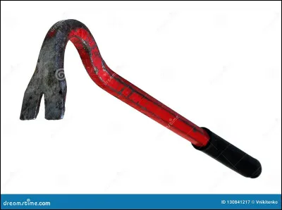 L'étymologie du mot pétanque est une partie du corps humain. Laquelle ?