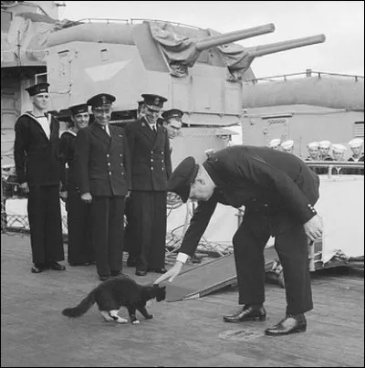 Unsinkable Sam est un chat historique de la Seconde Guerre mondiale puisqu'il...