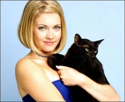 Dans quelle série le chat Salem est-il une mascotte ?