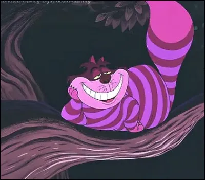 Dans quel dessin animé peut-on voir le chat du Cheshire ?