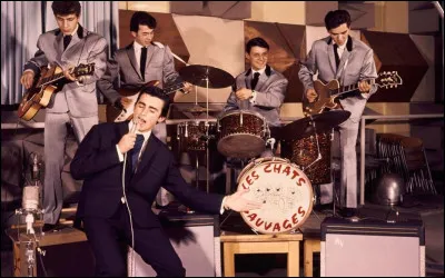 ''Twist à Saint-Tropez'' est une chanson du groupe ''Les Chats sauvages''. Qui était le chanteur du groupe ?