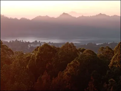 Quelle est la superficie approximative de l'île de Bali ?