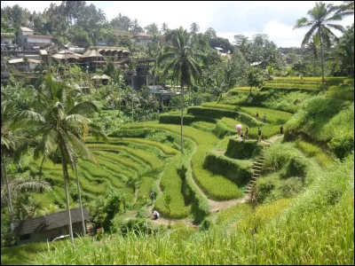 Quelle est la religion majoritaire à Bali, avec environ 94% d'habitants s'en réclamant ?