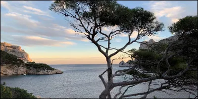 Je suis un département situé en région Provence-Alpes-Côte d'Azur et ayant un contact direct avec la Méditerranée. Je ne suis ni le Var, ni les Alpes-Maritimes. Qui suis-je ?