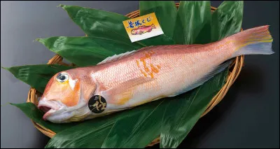 Quelle est la traduction de "poisson" en espagnol ?