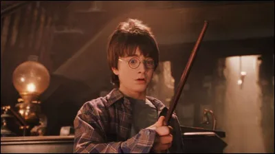 Harry a une baguette en bois de...