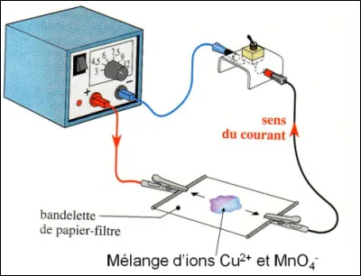 Observez le schéma ci-dessus. Les ions cuivre Cu2+ (bleus) se déplacent vers la borne négative (-), tandis que les ions permanganate MnO4− (violets) se déplacent vers la borne positive (+). Qu'en concluez-vous ?