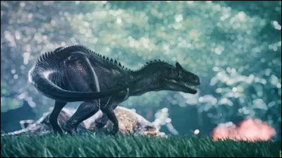 Il mesure environ 8,5 mètres.