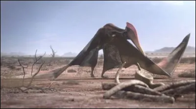 Ce dinosaure est un alanqa.
