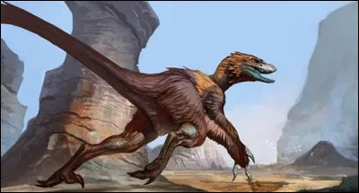 Voici un deinonychus.