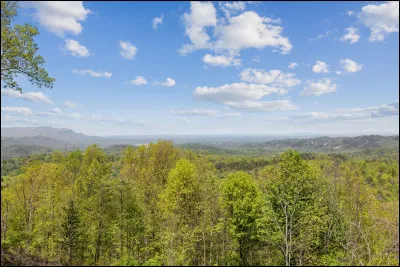 Terminons par un peu de biogéographie.
Forêt de conifères en climat boréal. Mot d'origine russe.