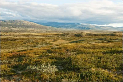 Aïe ! un terme d'origine same, une langue finno-ougrienne, qui désigne une steppe des régions en climat polaire.
