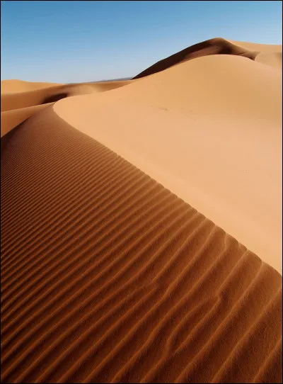Ensemble de dunes de sable dans un désert. Mot d'origine arabe.