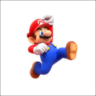 Quel est le nom de ce personnage d'un célèbre jeu vidéo ?