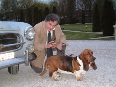Comment s'appelle le chien de l'inspecteur Columbo ?