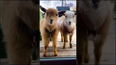 Et ta plus grande peur ?