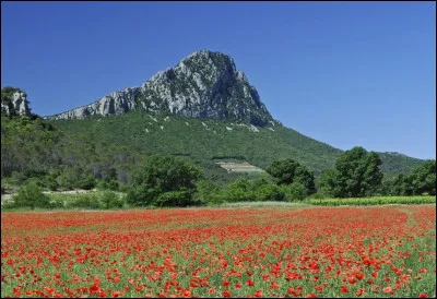 Quel est le nom de cette montagne visible depuis Montpellier et mesurant près de 700 mètres ?