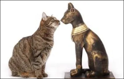 Par qui le chat était-il représenté chez les Égyptiens ?