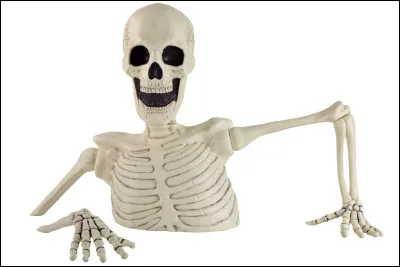 Comment dit-on "squelette" en anglais ?