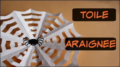 Comment dit-on "spider web" en français ?