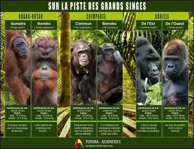 Je n'ai nullement l'intention de vous tenir la dragée haute, et pourquoi ?