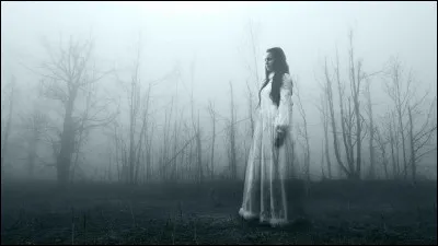 Que faut-il dire trois fois devant un miroir ?