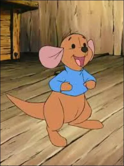 Dans quel dessin animé peut-on voir ce petit kangourou nommé "Petit Gourou" ?