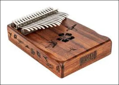 Retrouvez le nom de cet instrument d'origine africaine !